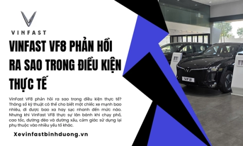 VinFast VF8 phản hồi ra sao trong điều kiện thực tế